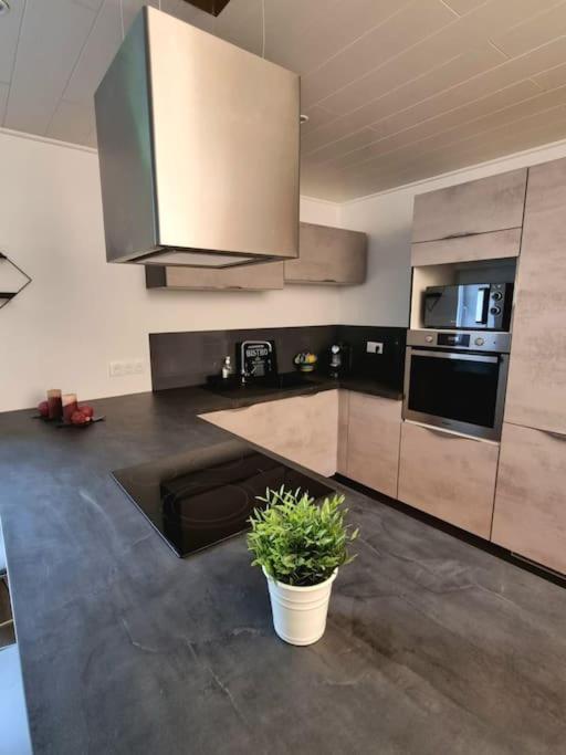 Appartement Chaleureux 80M2 Orbey Exteriér fotografie